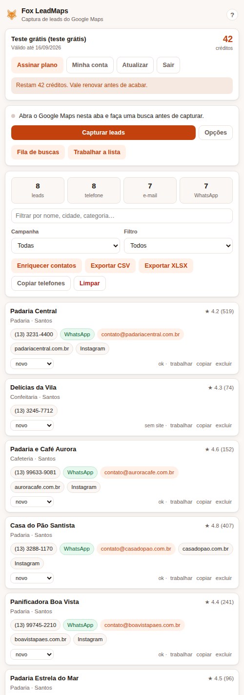 Lista de leads capturados com telefone, e-mail, site e redes sociais